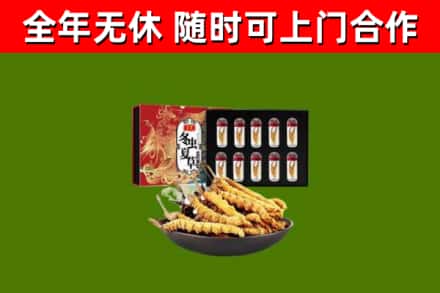 永新县回收冬虫夏草价格