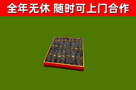 永新县回收海参